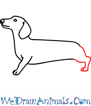 300x350 how to draw a wiener dog - Sausage Dog Drawing