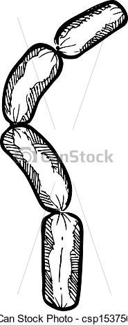 185x470 hand drawn sausage isolated on white background - Sausage Drawing