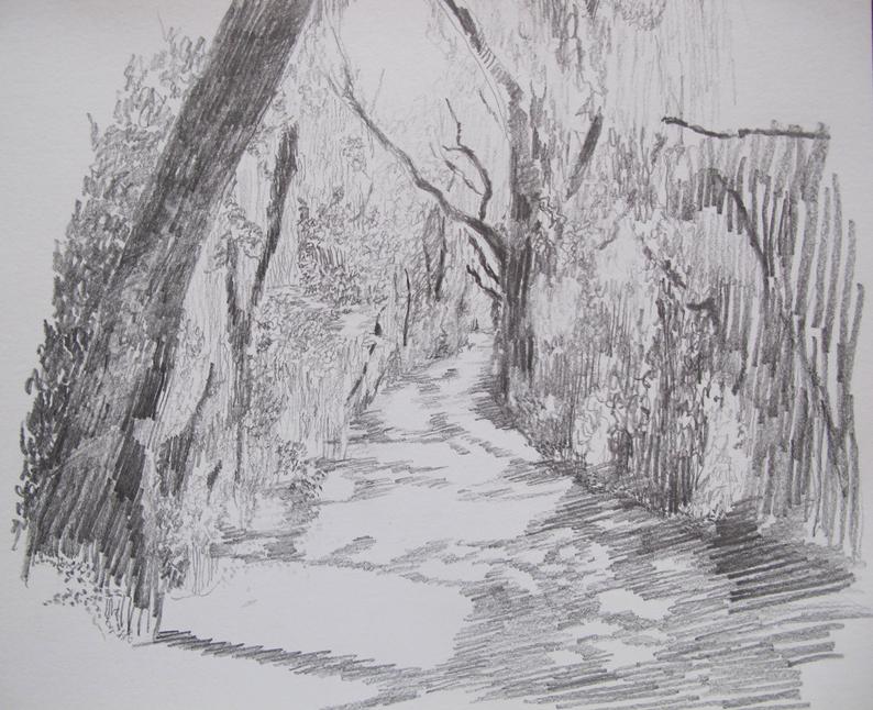 794x646 landscape drawing daily sketch savannah wildlife preserve etsy - Savannah Drawing