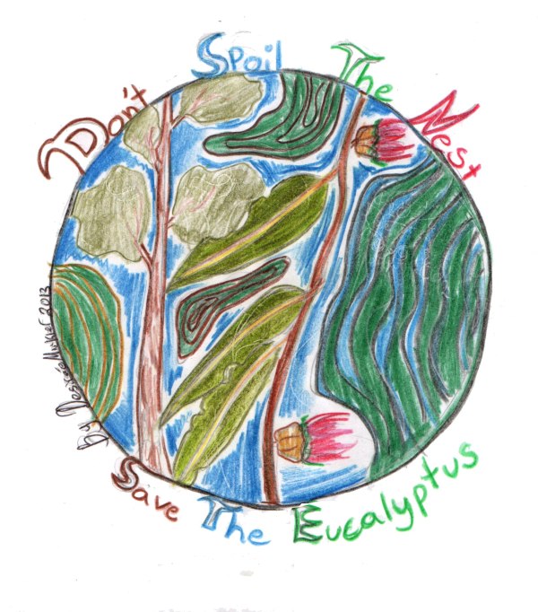 600x682 how children draw 'save the eucalyptus trees' san francisco - Save Drawing