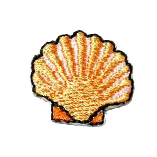 600x600 iron on patch applique scallop shell ebay - Scallop Drawing