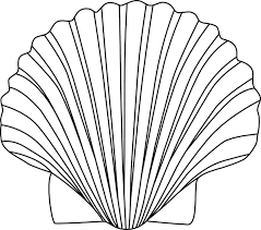 239x211 image result for scallop shell drawings arts and crafts shell - Scallop Drawing