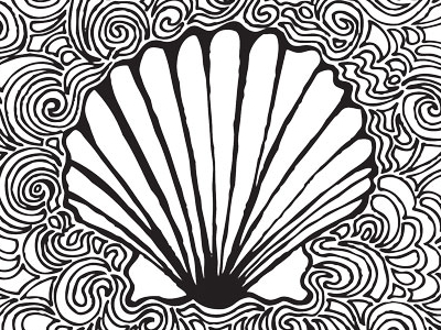 400x300 scallop shell drawing meditation - Scallop Drawing