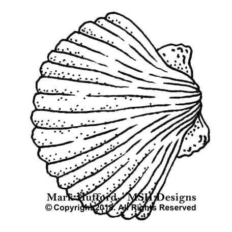 456x456 scallop shell rubber stamp - Scallop Drawing