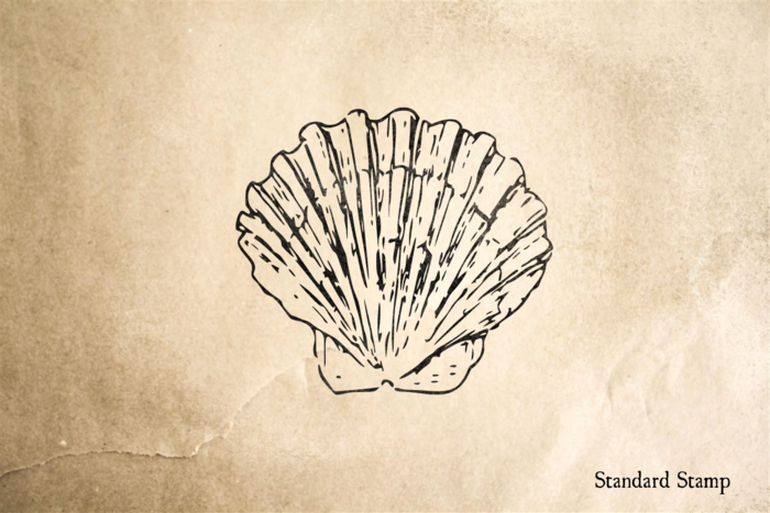 700x467 scallop shell rubber stamp standard stamp - Scallop Drawing