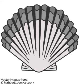335x355 Download Scallop Shell - Scallop Shell Drawing