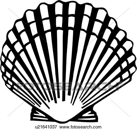 450x427 Huge Collection Of 'scallop Drawing' Download More Than Images - Scallop Shell Drawing