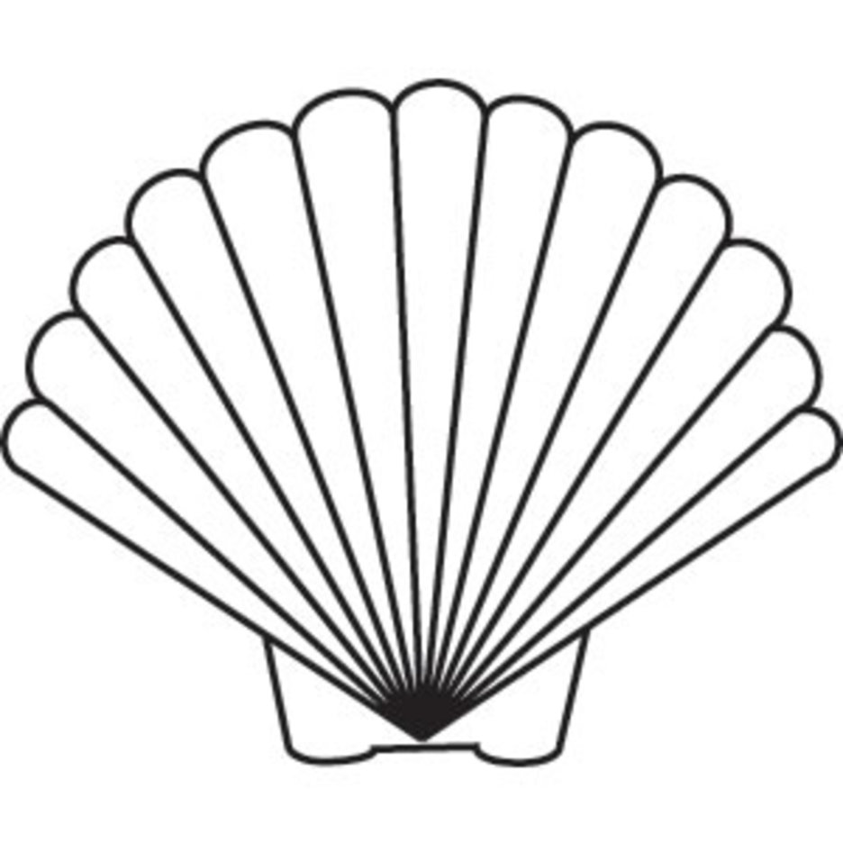 936x936 Scallop Shell Freevectors - Scallop Shell Drawing