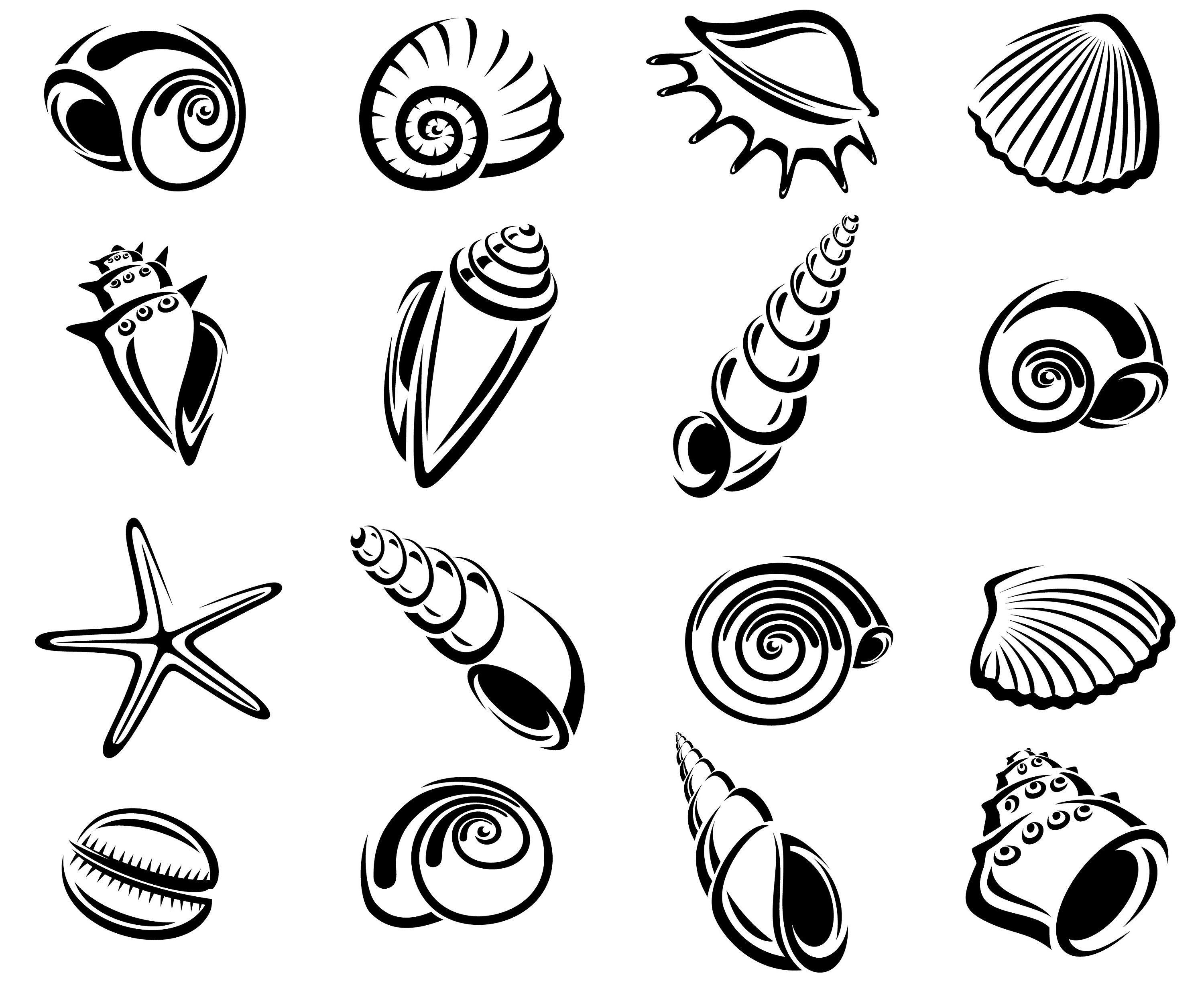 3000x2455 Pearls Drawing Scallop Shell For Free Download - Scallop Shell Drawing
