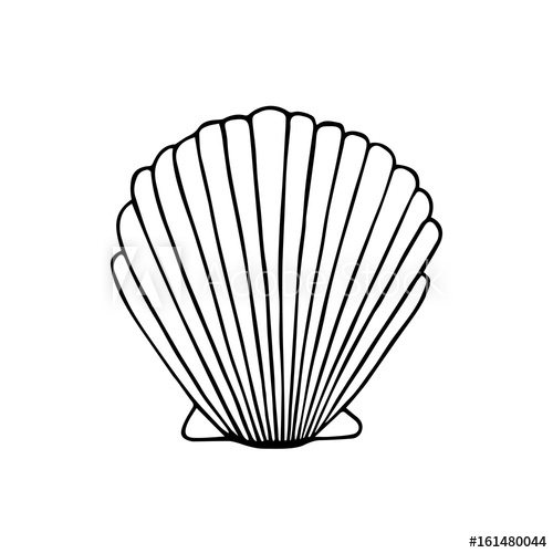 500x500 Sea Shell Doodle Drawing, Vector Illustration Isolated On White - Scallop Shell Drawing