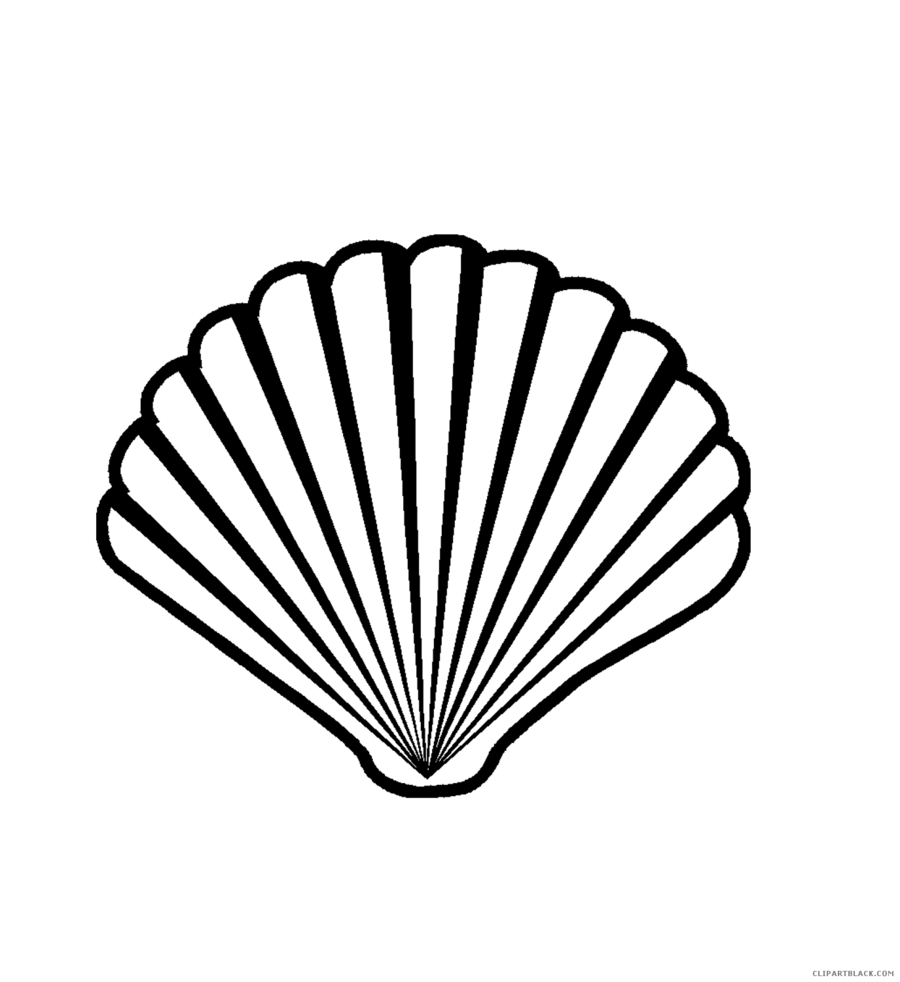 900x982 Seashell, Clam, Leaf, Transparent Png Image Clipart Free Download - Scallop Shell Drawing