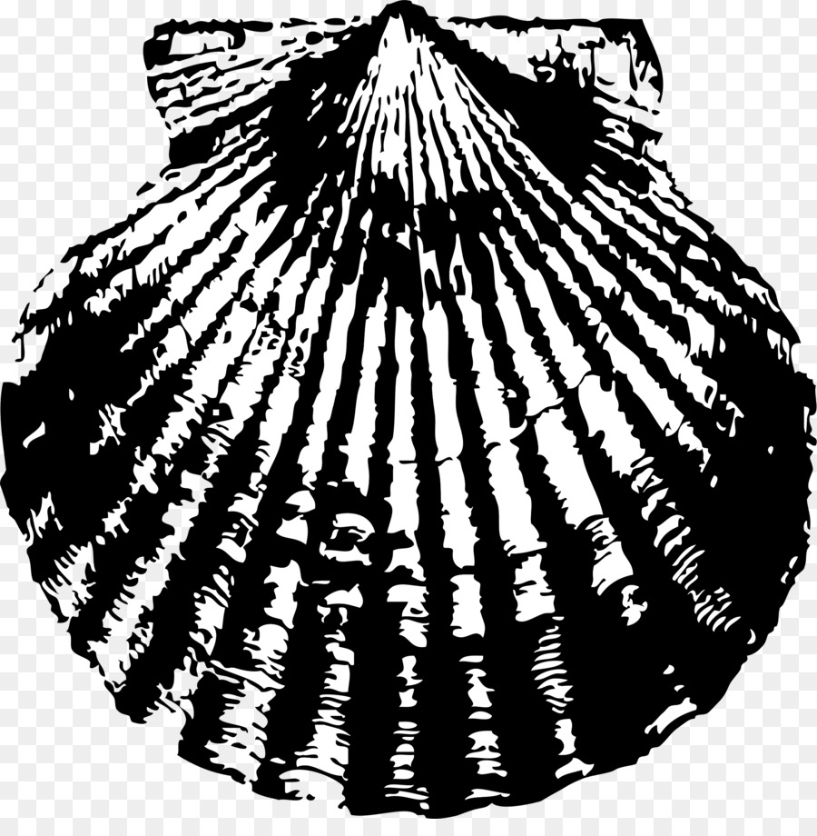 900x920 Seashell, Drawing, Pattern, Transparent Png Image Clipart Free - Scallop Shell Drawing