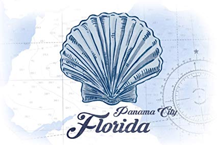 425x283 Panama City, Florida - Scallop Shell Drawing