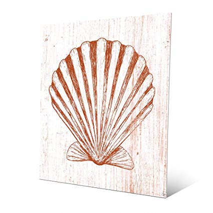 425x425 Seashell On Orange Nautical Line Drawing Of Scallop - Scallop Shell Drawing