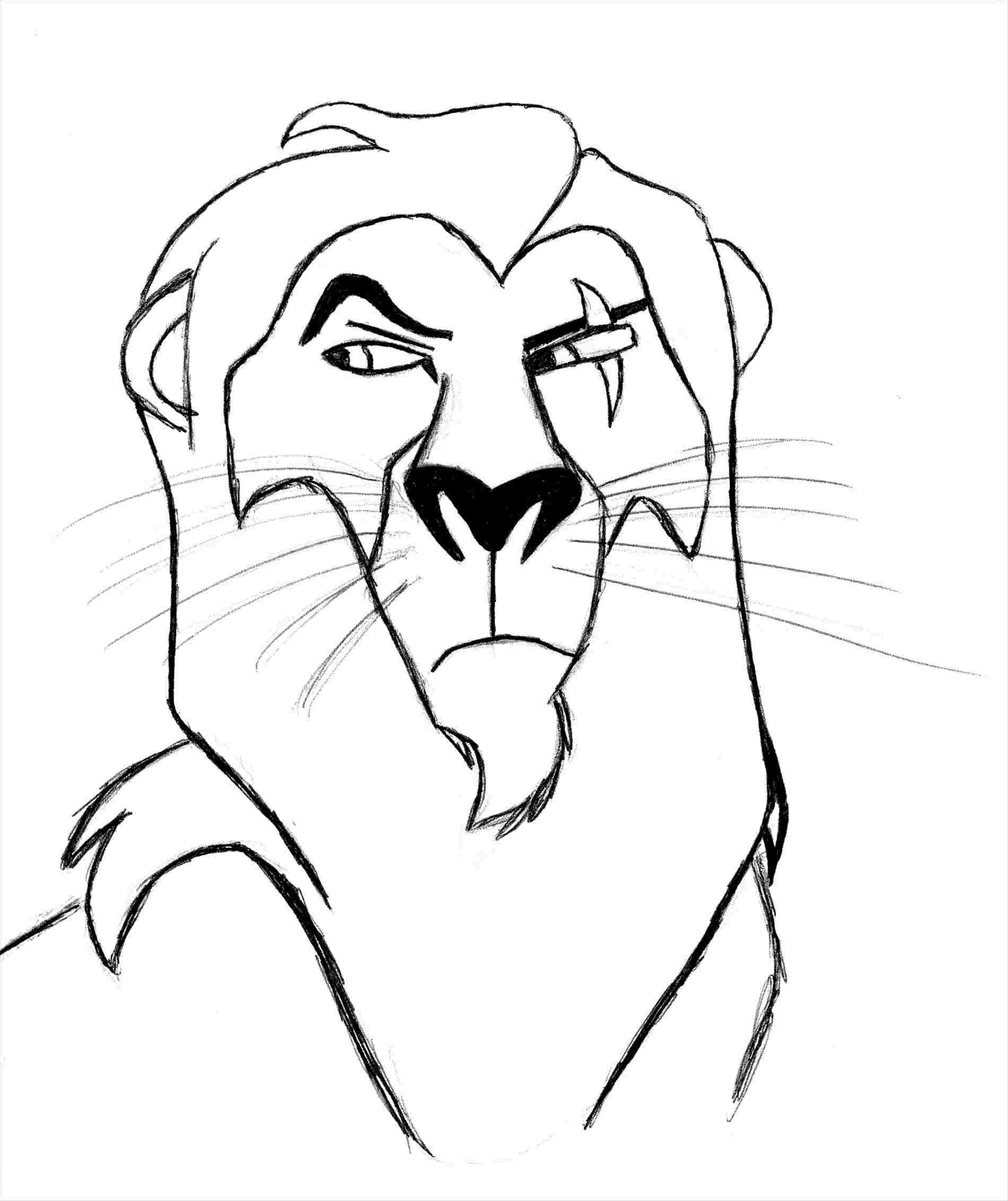 Scar Lion King Drawing at PaintingValley.com | Explore collection of ...