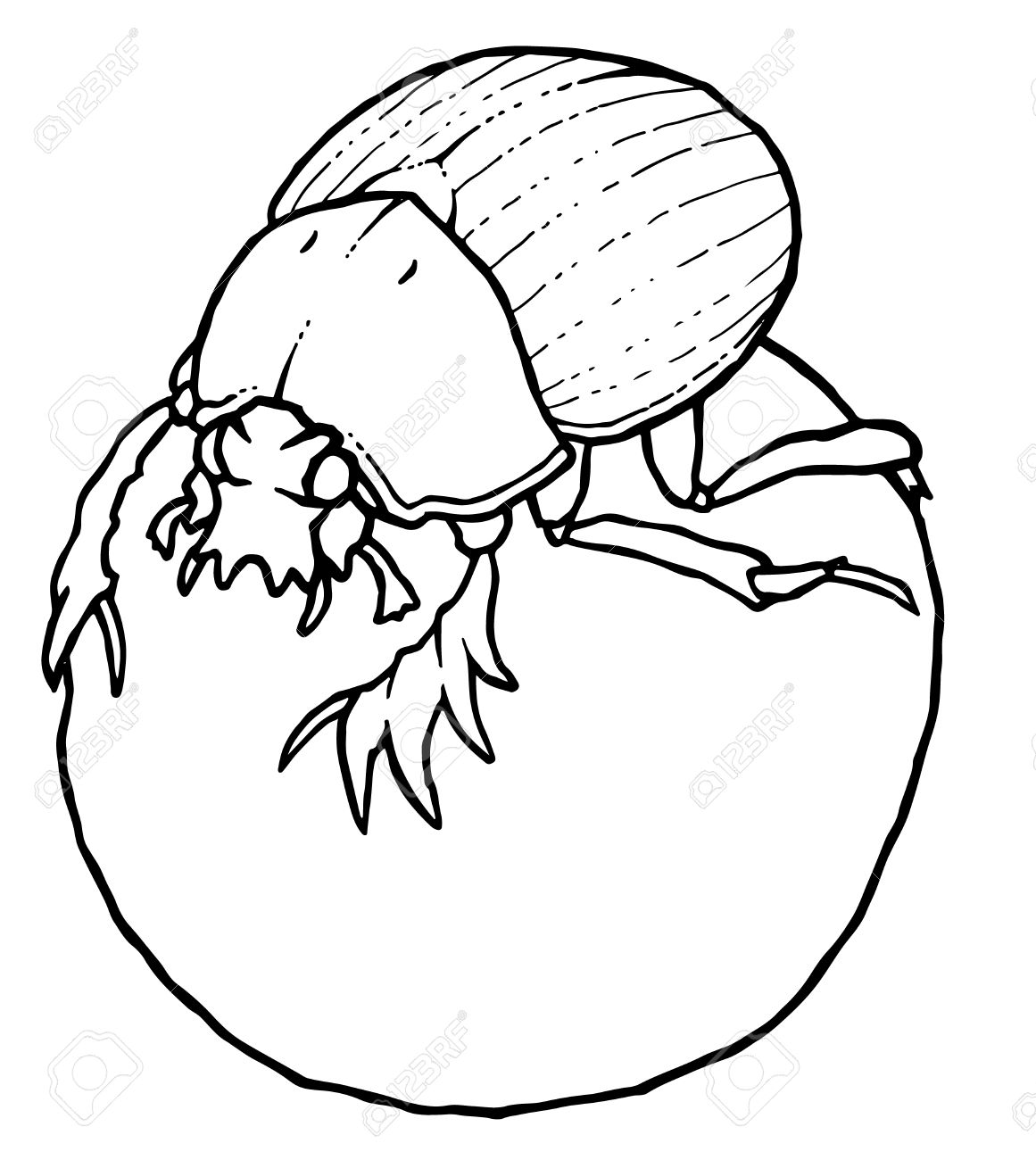 1161x1300 drawn beetle scarab beetle - Scarab Beetle Drawing