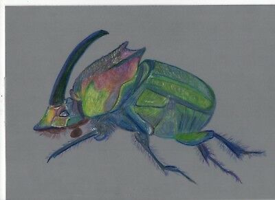 400x291 hand drawn original artwork parchment craft picture rainbow scarab - Scarab Beetle Drawing