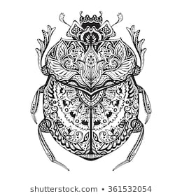 260x280 huge collection of 'egyptian scarab drawing' download more than - Scarab Drawing