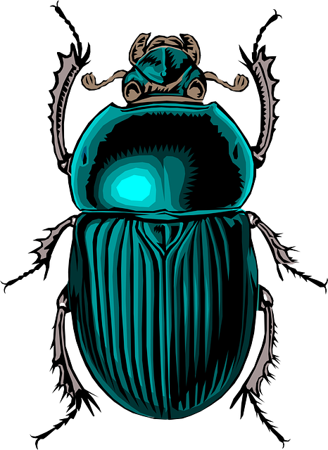 466x640 scarab vector transparent png clipart free download - Scarab Drawing