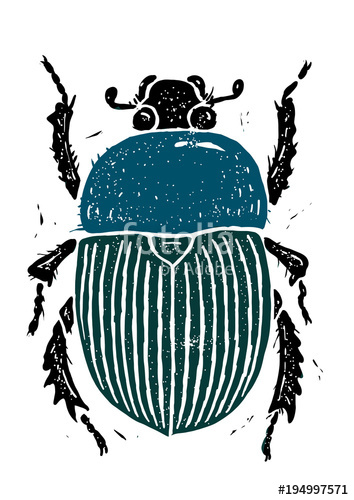 354x500 scarab beetle linocut linocut illustration, draw, ink, vector - Scarab Drawing