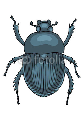 283x400 scarab illustration, doodle, cartoon, drawing, ink, line art - Scarab Drawing