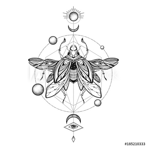 500x500 beetle bug tattoo drawing scarab bug illustration - Scarab Drawing