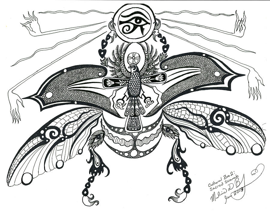 900x704 cultural zoo sacred scarab drawing - Scarab Drawing