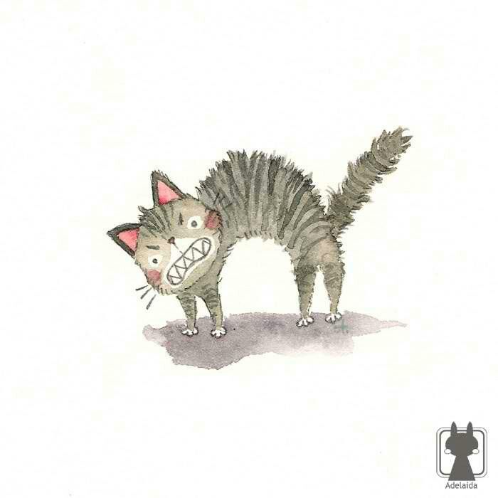 700x700 ferocious cat this and that cute cat illustration, scared cat - Scared Cat Drawing