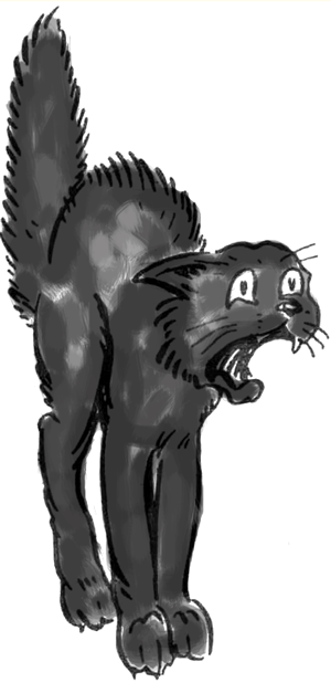 300x618 How To Draw A Scary Scared Black Cat With Easy Steps Lesson - Scared Cat Drawing