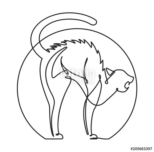 500x494 Scared Cat Continuous Line Vector Cartoon Stock Image And Royalty - Scared Cat Drawing