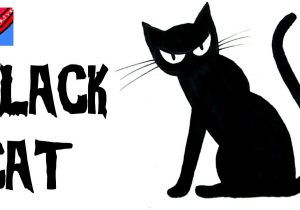 300x210 scared cat drawing black and white cartoon scared black cat - Scared Cat Drawing