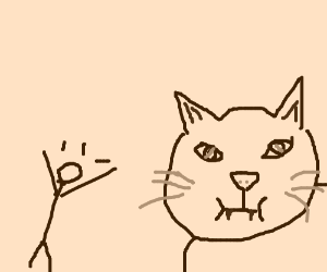 300x250 Stick Figure Man, Scared - Scared Cat Drawing