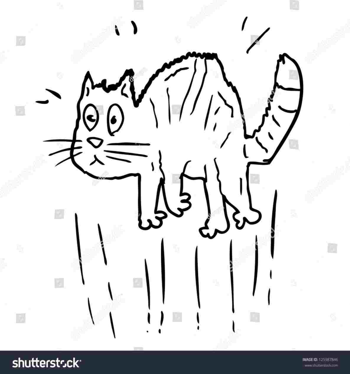 1185x1264 Vector Royalty Free Rhshutterstockcom Doodle - Scared Cat Drawing