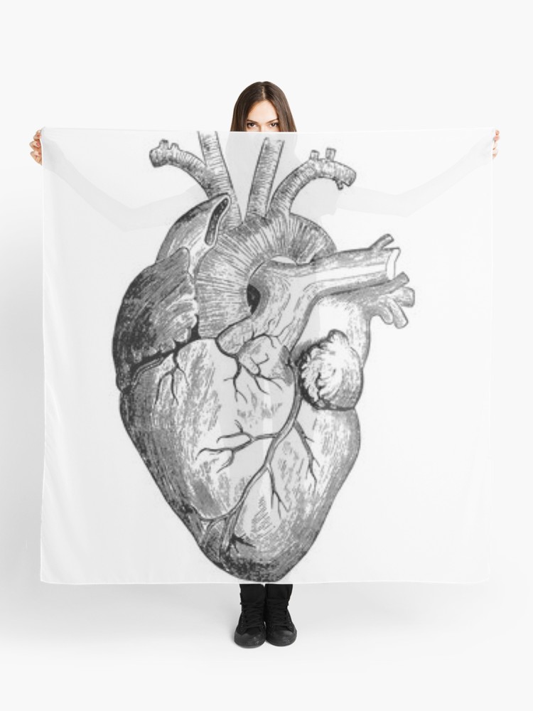 750x1000 realistic heart drawing scarf - Scarf Drawing