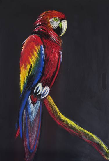 375x554 scarlet macaw bird drawing - Scarlet Macaw Drawing