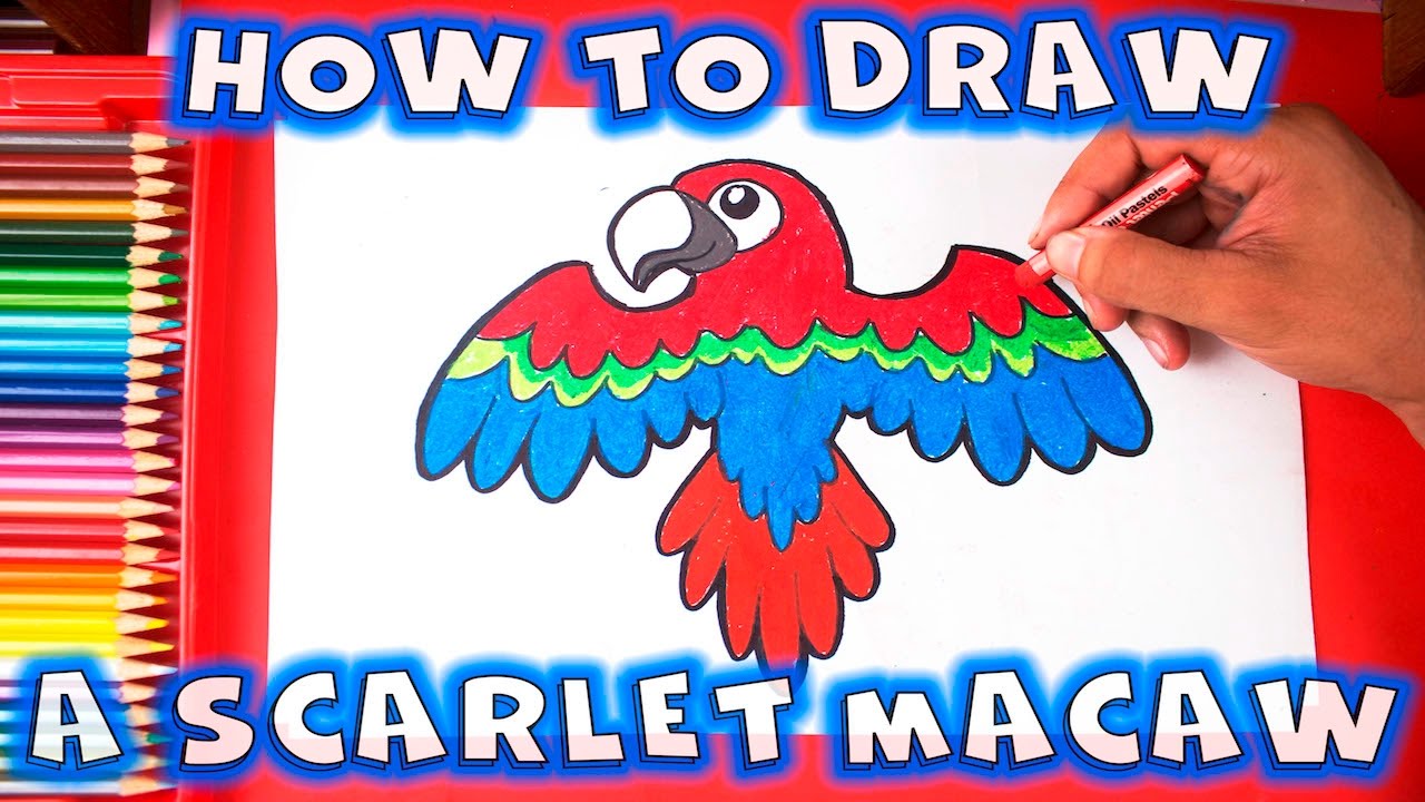 How To Draw A Macaw Step By Step