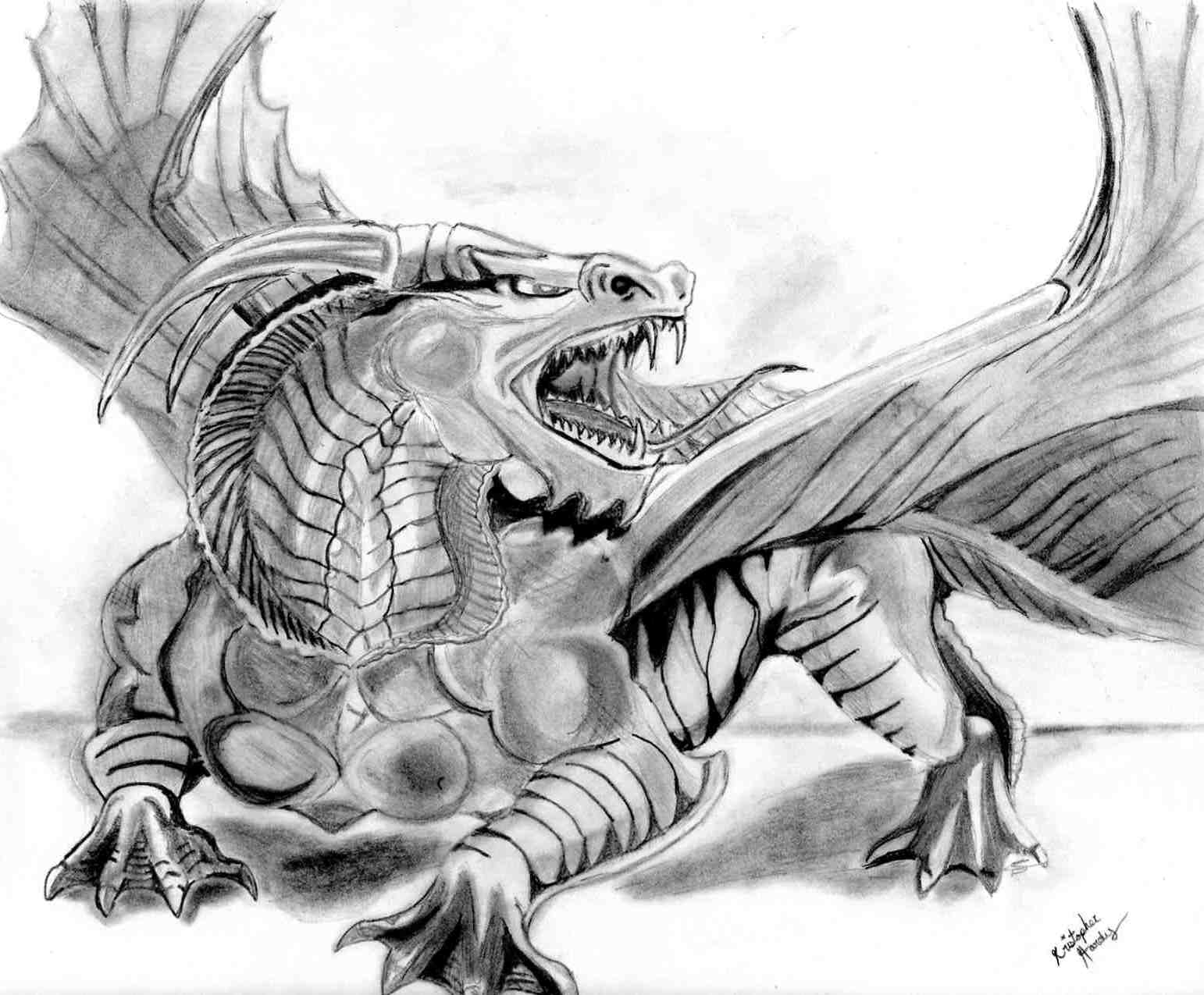 1542x1275 Realistic Dragon Drawings Design Trends - Scary Dragon Drawing