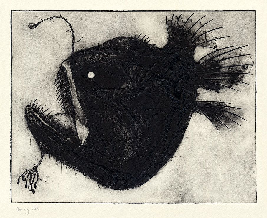906x740 Jim Kay, Illustrator Animals In Art Fish Drawings, Fish - Scary Fish Drawing