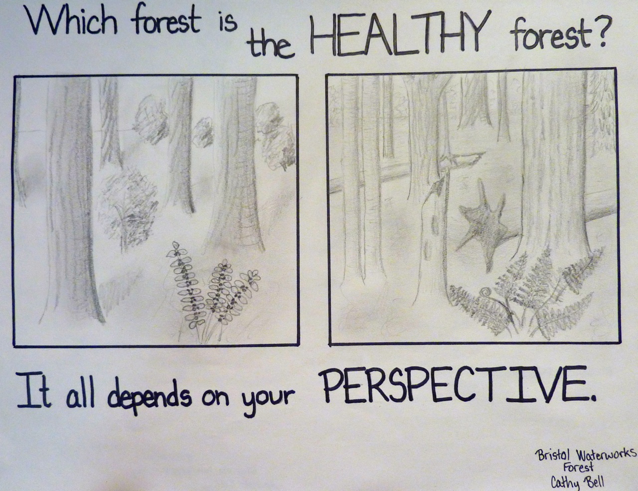 1280x985 Connecting With Nature Through Art You Don't Have To Be An Artist - Scary Forest Drawing