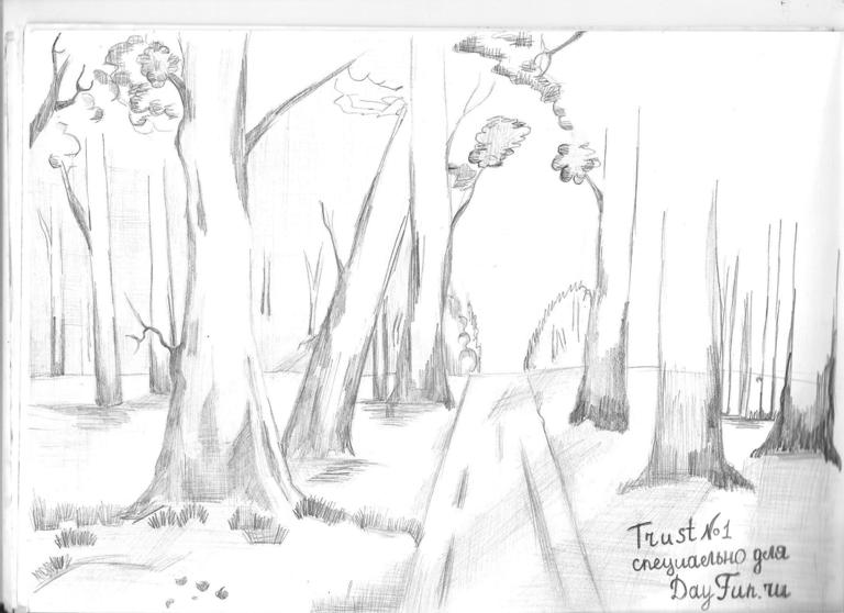 768x558 How To Draw Forest Step - Scary Forest Drawing