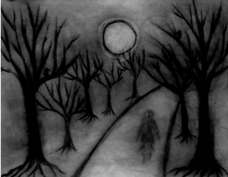 900x698 Pictures Of Creepy Forest Drawing - Scary Forest Drawing