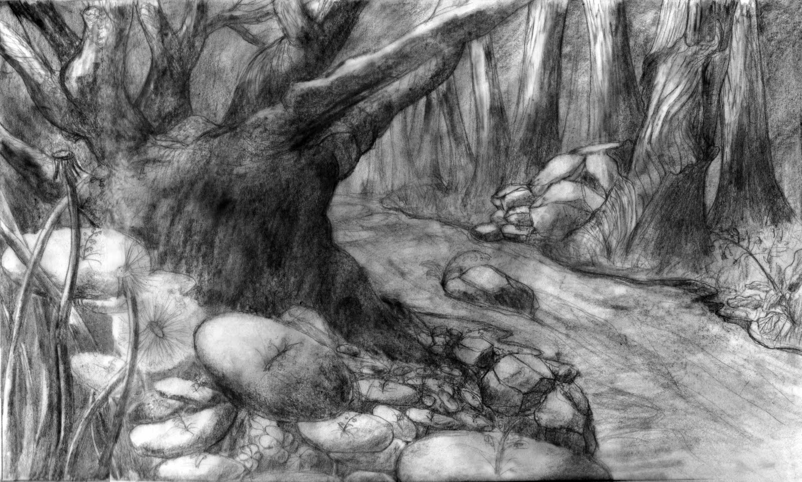 Рисунок дремучего леса карандашом