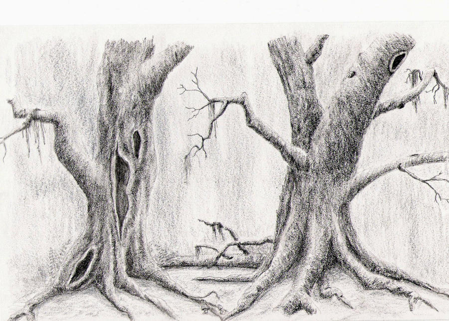 Scary Forest Drawing at Explore collection of