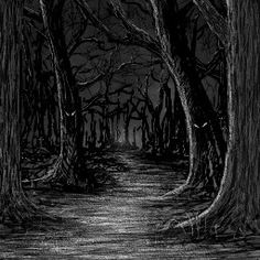 scary forest description creative writing