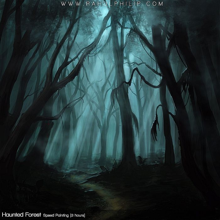 700x700 Scary Forest Wallpaper - Scary Forest Drawing