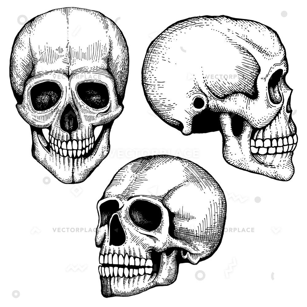 1000x1000 Hand Drawn Death Scary Human Skulls Vector Illustration - Scary Hand Drawing