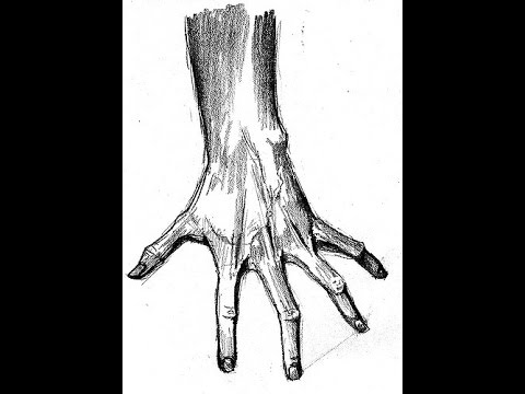 480x360 Scary Hand Speed Drawing - Scary Hand Drawing