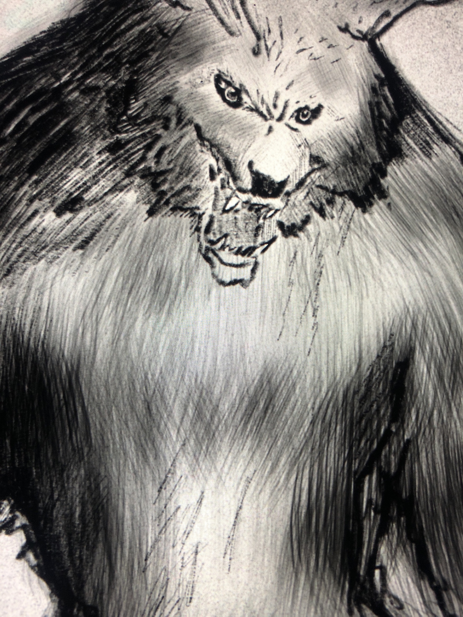 1536x2048 Drawing A Scary Werewolf - Scary Lion Drawing