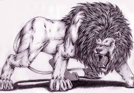 270x187 image result for lions king of the jungle - Scary Lion Drawing