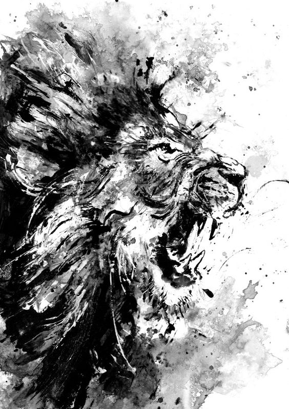 564x798 Lion Drawing Wall For Free Download - Scary Lion Drawing